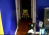 Bob esponja da madrugada💀