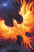 Phoenix Force