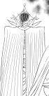 Worreldane
