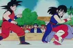 Goku vs Chichi