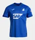 Hoffenheim Home