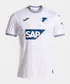 Hoffenheim Away