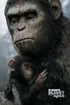 94394 Dawn Of The Planet Of The Apes 0 300 0 450 Crop
