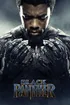 209383 Black Panther 0 300 0 450 Crop