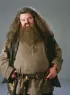 Hagrid