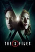 The X Files