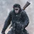 Caesar (Planet Of The Apes)