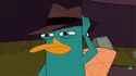 Perry The Platypus