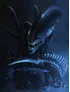 Xenomorph