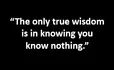 “The only true wisdom is in knowing you know nothing.”