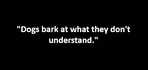 "Dogs bark at what they don't understand."