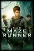 Maze Runner