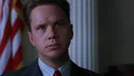 Tim Robbins (Le Ali Della Libertà)