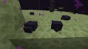 Endermite