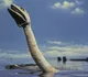 Giant Sea Serpent