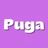 Puga