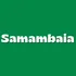 Samambaia