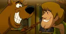 Shaggy & Scooby