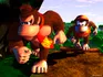 Donkey Kong & Diddy Kong