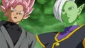 Goku Black & Zamasu