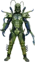 Gryllus Worm