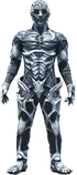 Transamza Level 1