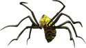 Tsuchigumo