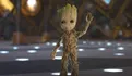 Groot