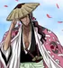 Captain Shunsui (Bleach)