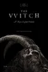 The VVITCH (2016)