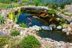 Pond