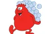 Globules Rouges