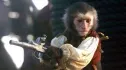 Jack Le Singe