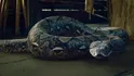 Nagini
