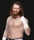 Sami Zayn