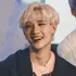 Stray Kids Bang Chan