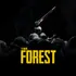 The Forest (2014)