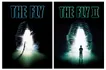 The Fly