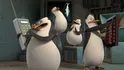 Penguins Team Penguins Of Madagascar