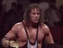 Bret Hart  