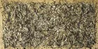 Pollock - One: Number 31