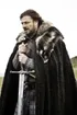 Ned Stark (Lord Eddard Stark)