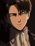 Levi Ackerman 