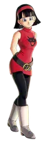 Videl