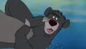 baloo-the-bear-jungle-book