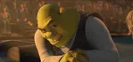 shrek5