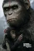 Dawn Of The Planet Of The Apes