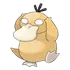 Psyduck