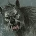 Werewolf