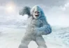 Yeti